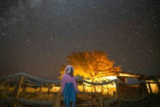 a-person-standing-on-a-wooden-walkway-under-a-night-sky.jpg A person standing on a wooden walkway under a night sky